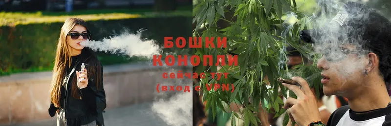 Марихуана White Widow  Высоцк 